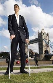 The World's Tallest Man 